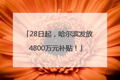 28日起，哈尔滨发放4800万元补贴！
