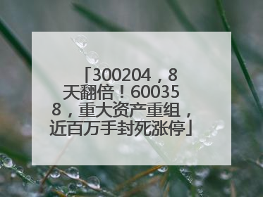 300204，8天翻倍！600358，重大资产重组，近百万手封死涨停