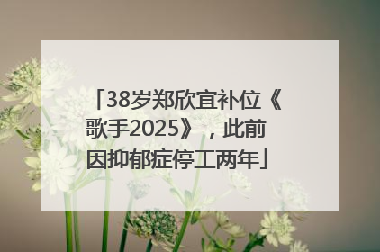 38岁郑欣宜补位《歌手2025》，此前因抑郁症停工两年