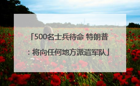 500名士兵待命 特朗普：将向任何地方派遣军队