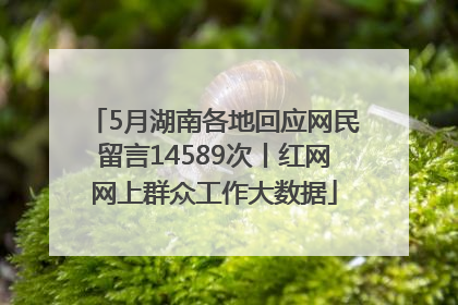5月湖南各地回应网民留言14589次丨红网网上群众工作大数据