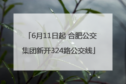 6月11日起 合肥公交集团新开324路公交线