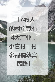 749人的村庄竟有4大产业，小官村一村多品铺就富民路