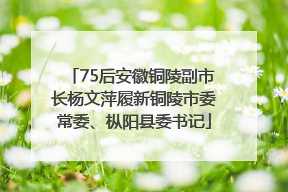 75后安徽铜陵副市长杨文萍履新铜陵市委常委、枞阳县委书记
