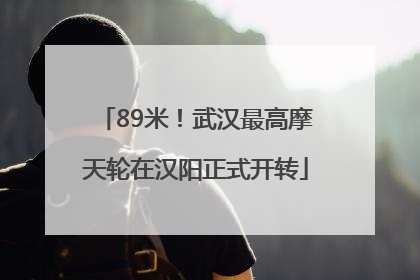 89米！武汉最高摩天轮在汉阳正式开转