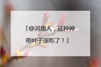 @河南人，这种神奇叶子该吃了！