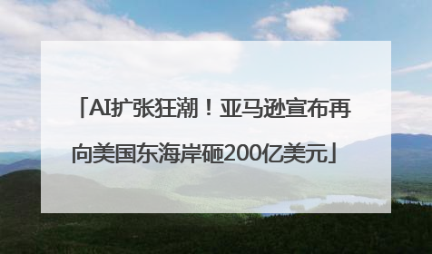 AI扩张狂潮！亚马逊宣布再向美国东海岸砸200亿美元