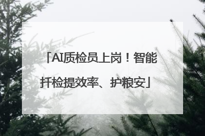 AI质检员上岗！智能扦检提效率、护粮安