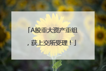 A股重大资产重组，获上交所受理！