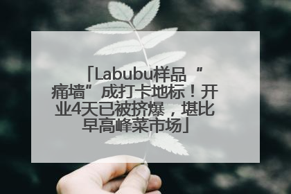 Labubu样品“痛墙”成打卡地标！开业4天已被挤爆，堪比早高峰菜市场