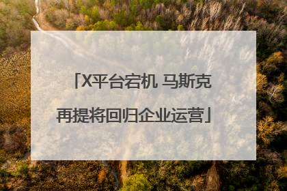 X平台宕机 马斯克再提将回归企业运营